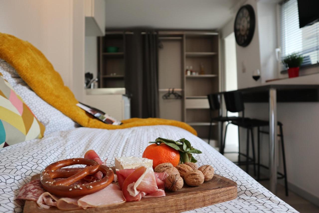 Le Domaine Mulhousien Appartamento Mulhouse Esterno foto