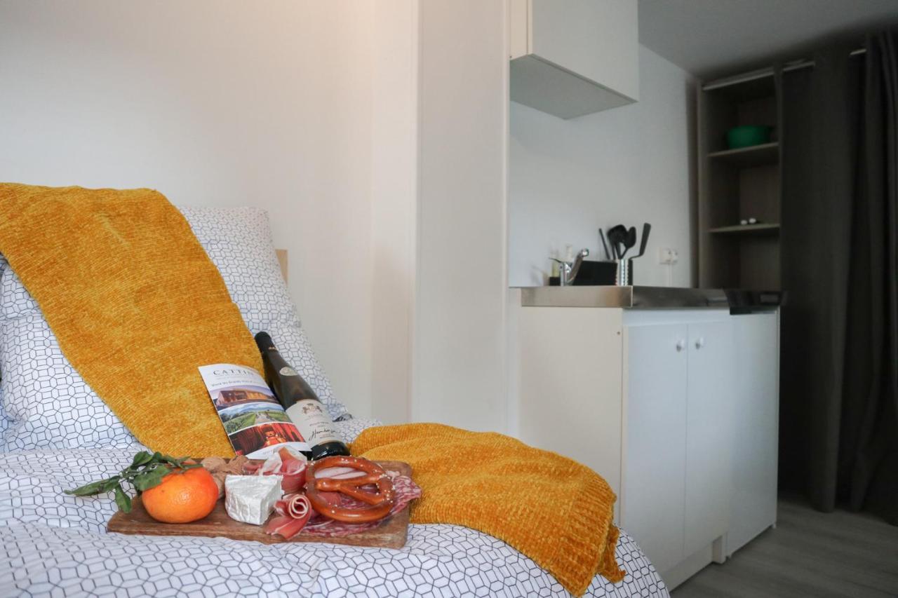 Le Domaine Mulhousien Appartamento Mulhouse Esterno foto