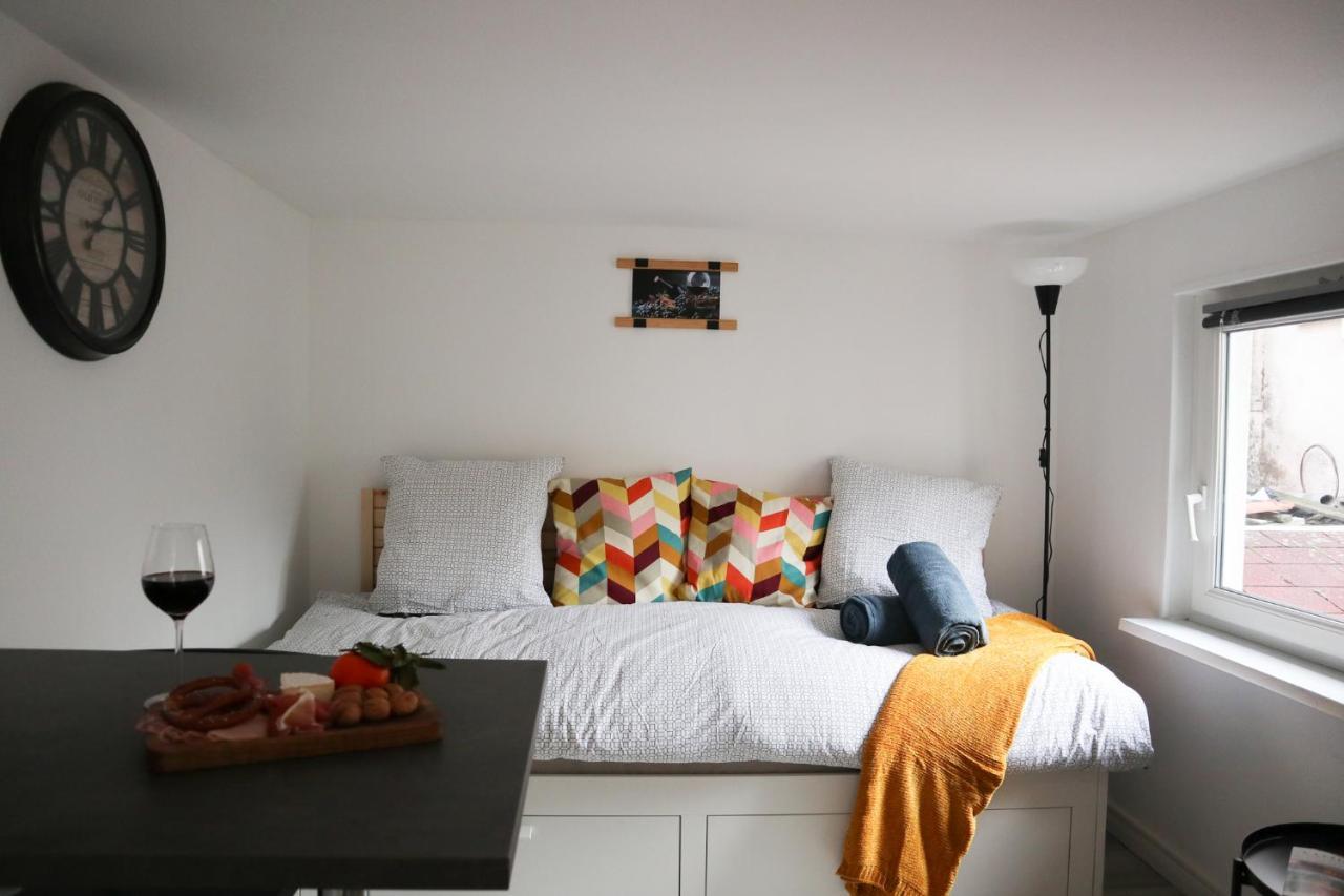 Le Domaine Mulhousien Appartamento Mulhouse Esterno foto